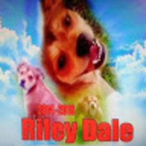 Meet your Posher, Dakota